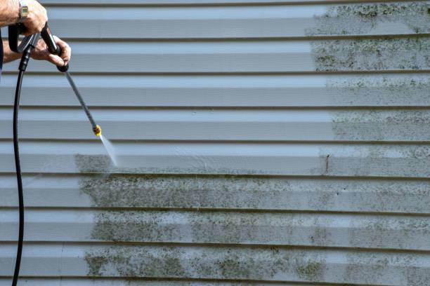 Best Same-Day Junk Removal Services  in Harbison Nyon, CA
